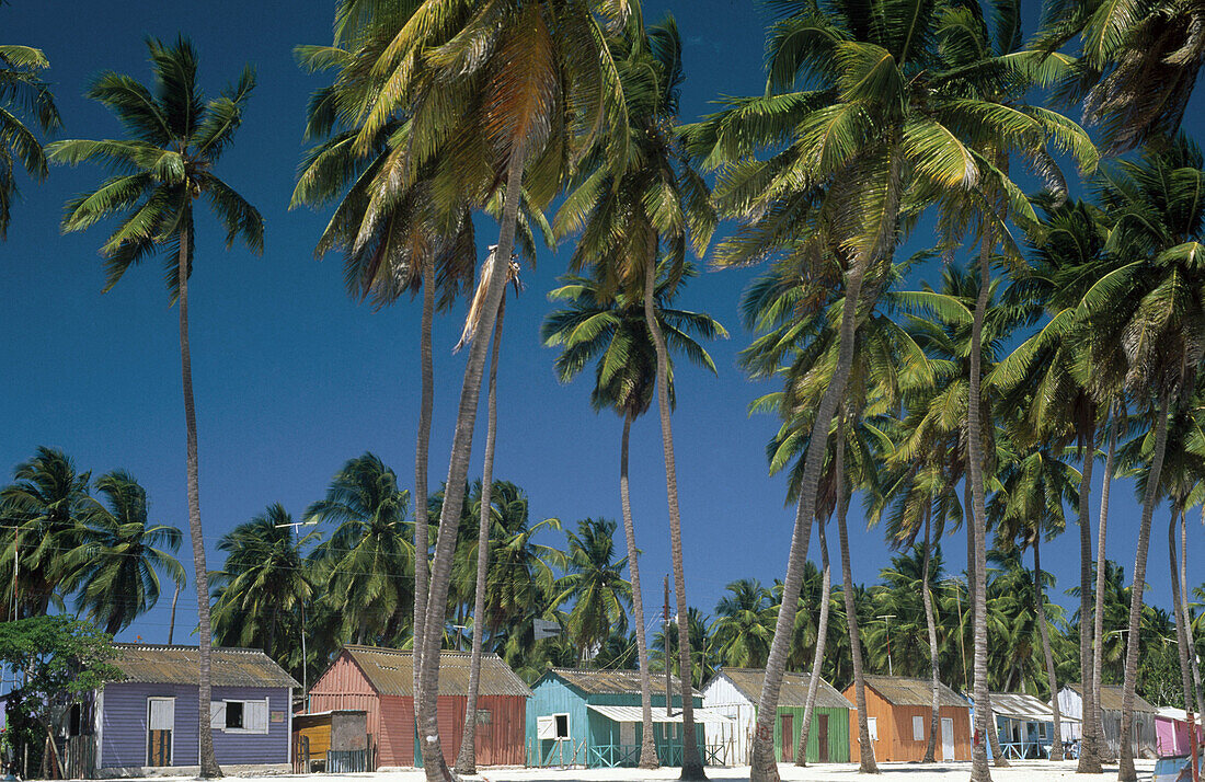 Fishermen village in Saona island, East National Park. Dominican Republic