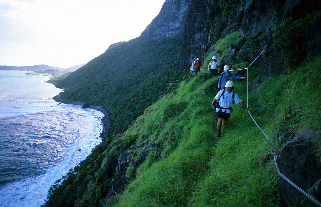 People hiking on Lower Road, an exposed section at the beginning of the climb to Mt. Gower, Lord Howe Island, Australia