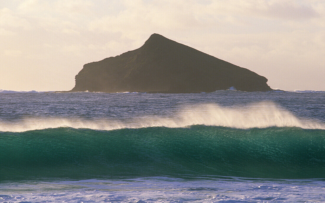 Blick über das Meer auf Mutton Bird Island, Lord Howe Island, Australien