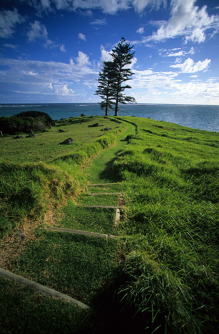 Grasbewachsener Weg zur Lovers Bay, Lord Howe Island, Australien