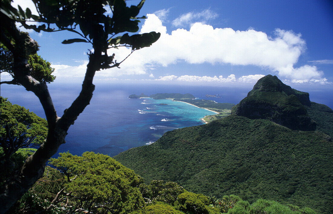 View from the top of Mt. Gower, Mt. Lidgbird left, Australian