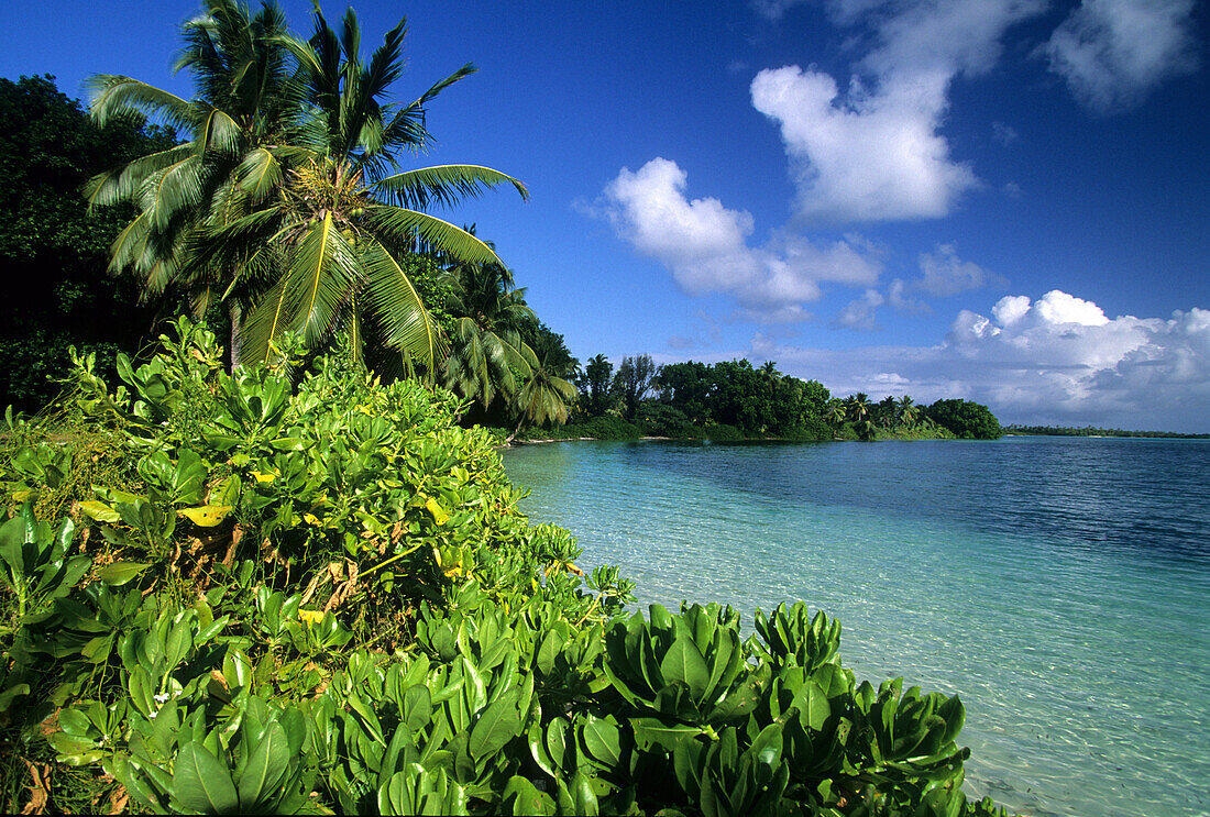 Paradise Island Home Island, Australia