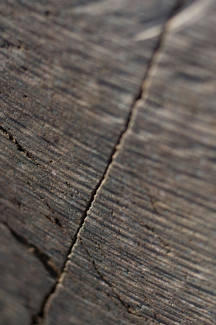 Close up of wood in Sigmundskron castle with Messner Mountain Museum Firmian, Bozen, South Tyrol, Italy
