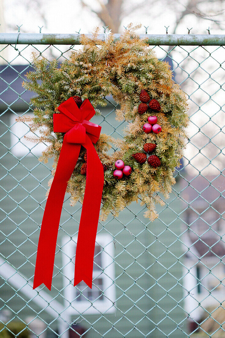  Bow, Celebrate, Celebrating, Celebration, Celebrations, Chainlink fence, Chainlink fences, Christma baubles, Christmas, Christmas bauble, Christmas bow, Christmas decoration, Christmas decorations, Christmas ornament, Christmas ornaments, Close up, Close