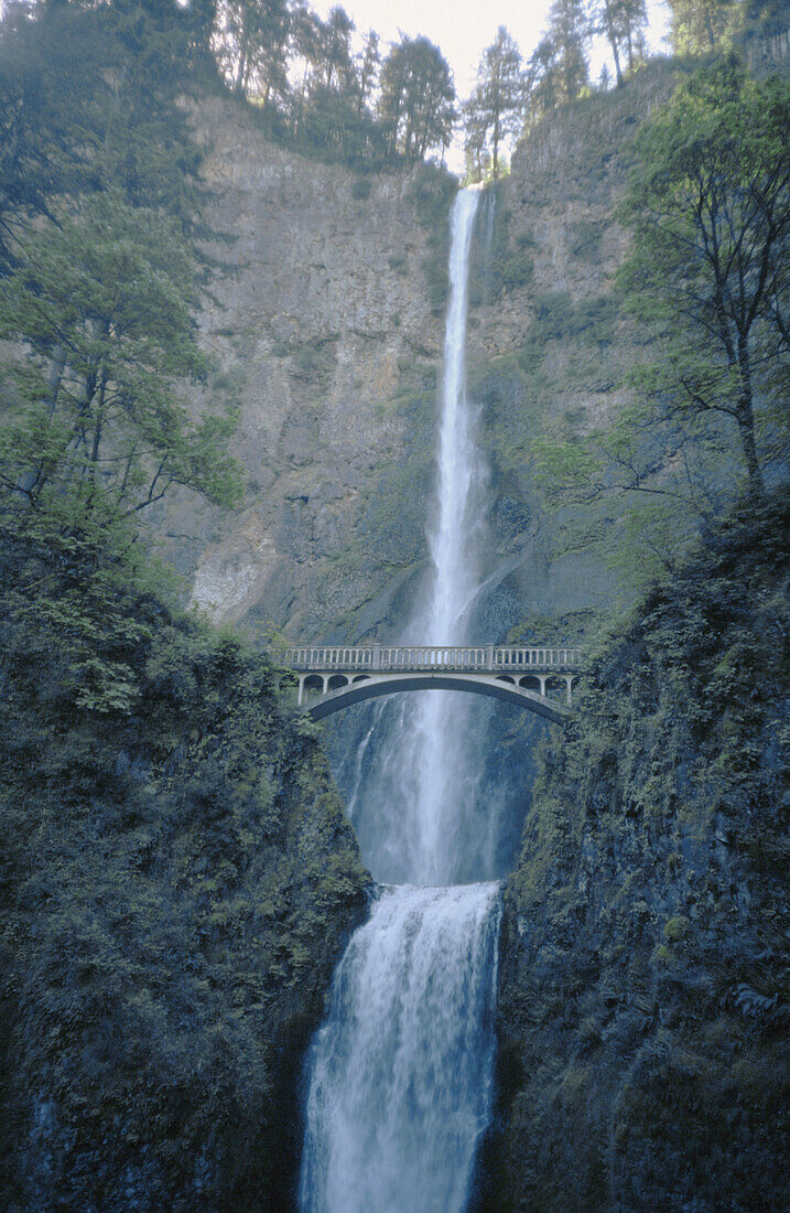 Multnomah Falls. Columbia River Gorge National Scenic Area. Oregon. USA