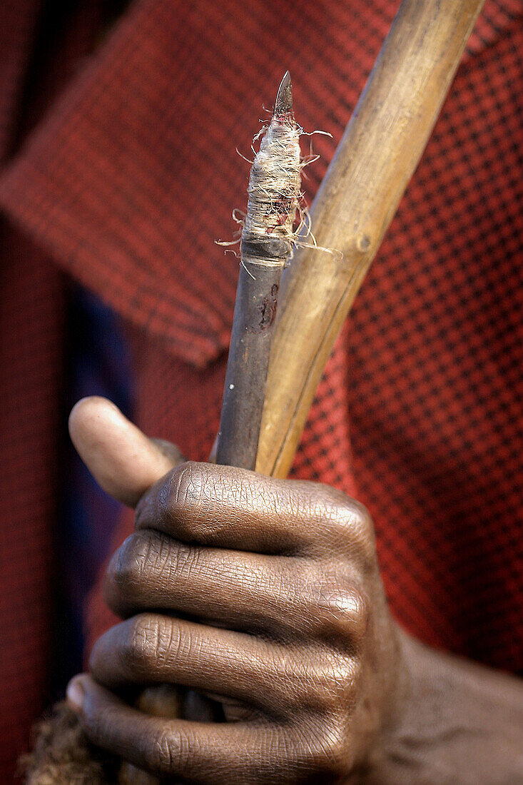 Maasai ritual. Bow and arrow. Tanzania
