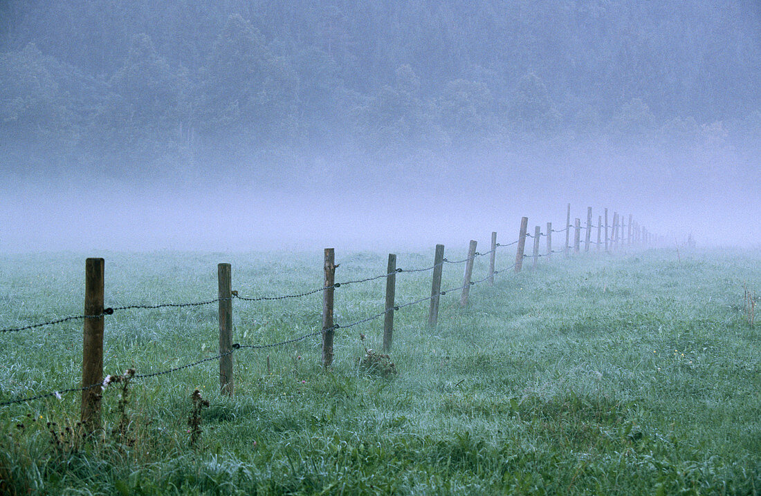 Fence in fog. Baviera, Germany