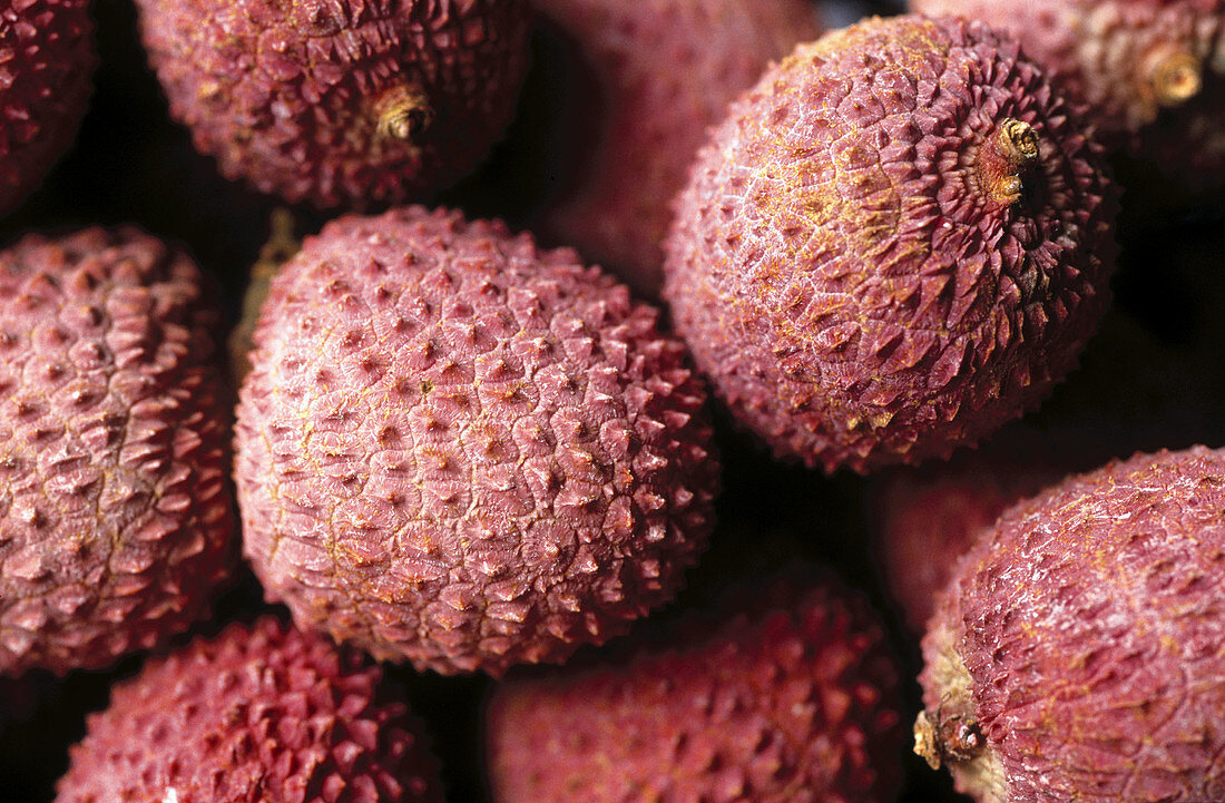 Lychee nut (Litchi chinensis). South China