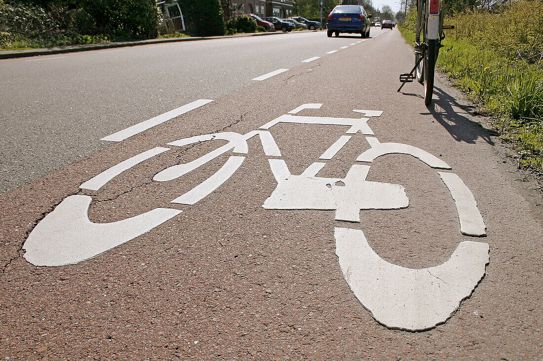 Bike sign on ground bike lane.