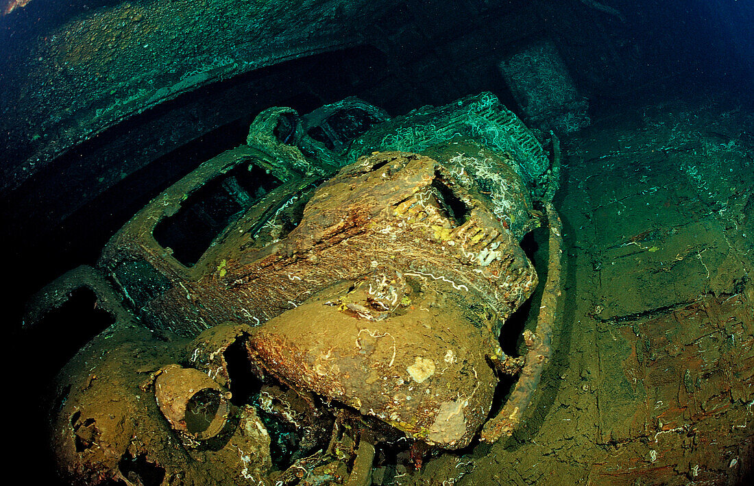 Scuba diver diving in the Umbria shipwreck, Military cars,  Sudan, Africa, Red Sea, Wingate Reef