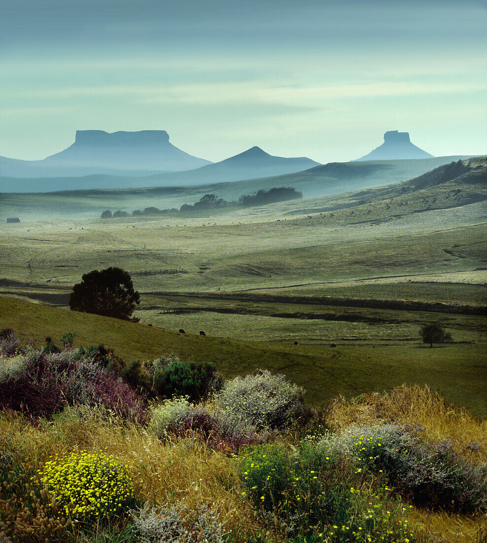 Tafelberg und Landschaft in Kwazulu Natal, Kwazulu Natal, Zululand, Südafrika, Afrika