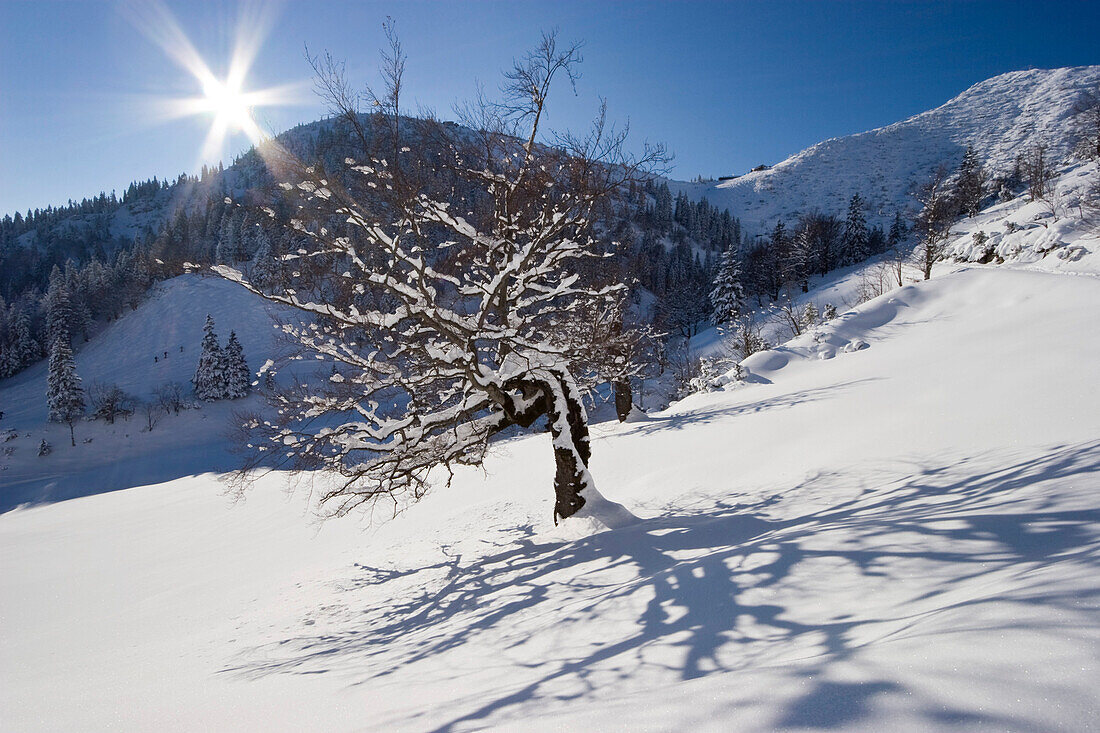 Winterlandschaft in den Bayrischen Alpen, Oberbayern, Deutschland