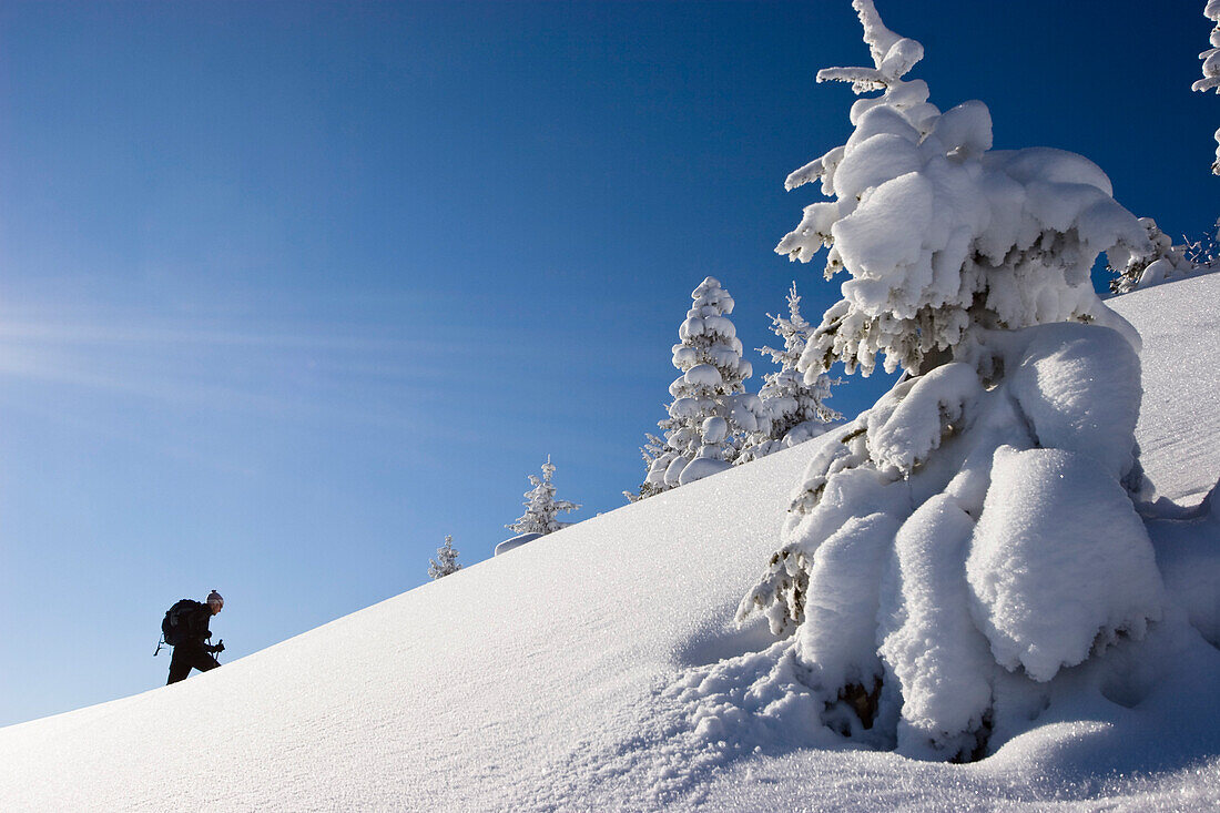 Skifahrer in winterlicher Berglandschaft, Bayerische Alpen, Oberbayern, Deutschland