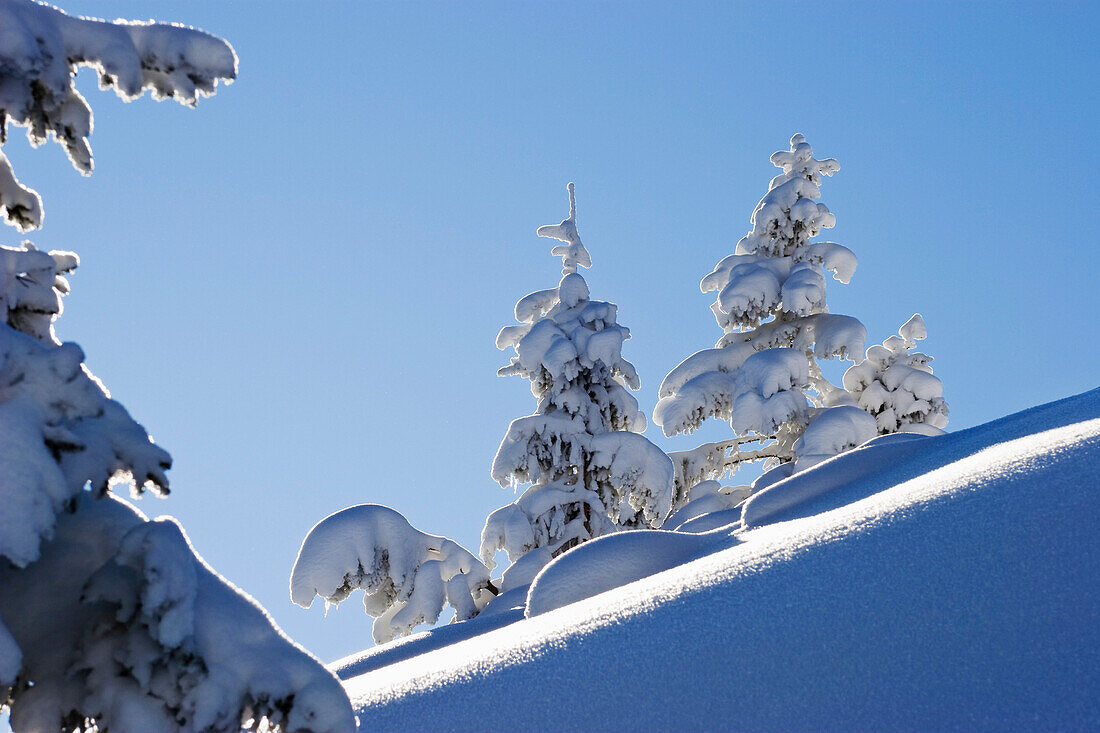 Winter scenery in Bavarian Alps, Upper Bavaria, Germany