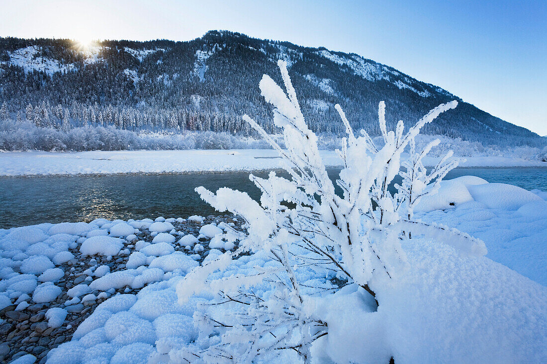Winterlandschaft an der Isar, Oberbayern, Deutschland