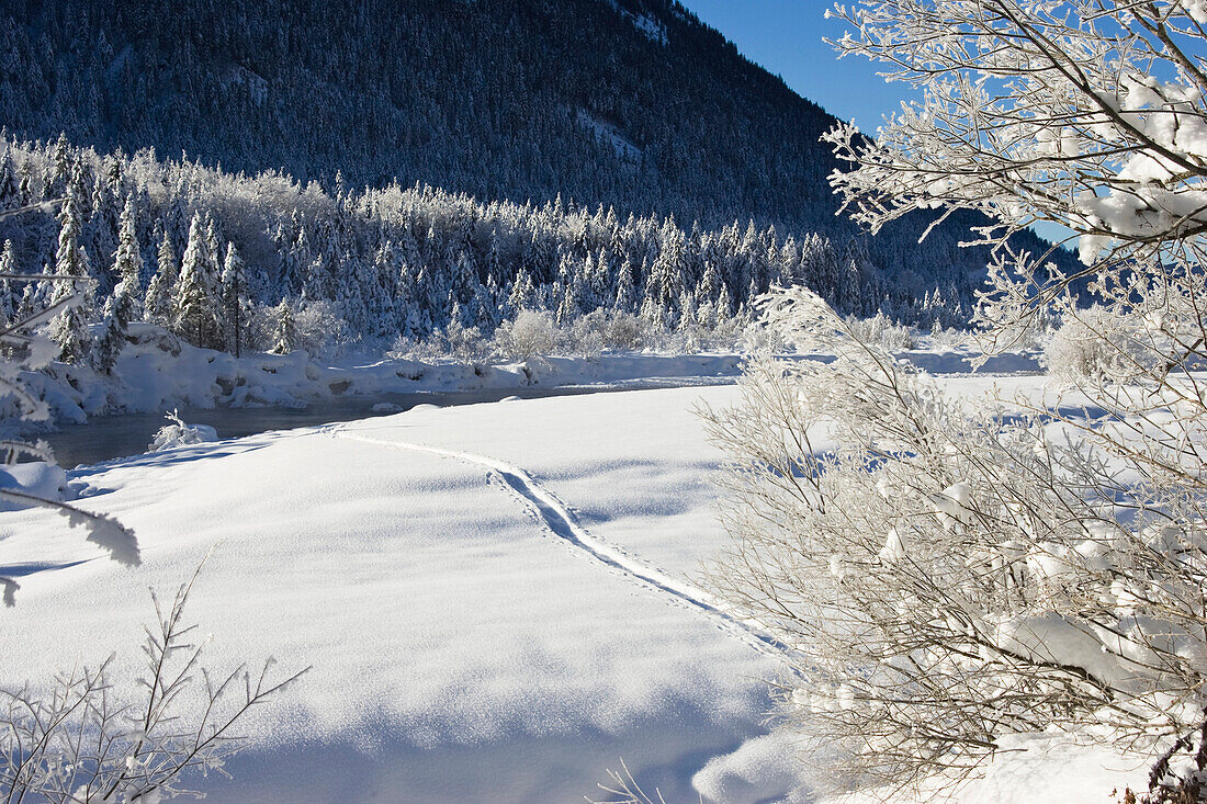 Winterlandschaft mit Skispuren, Oberbayern, Deutschland