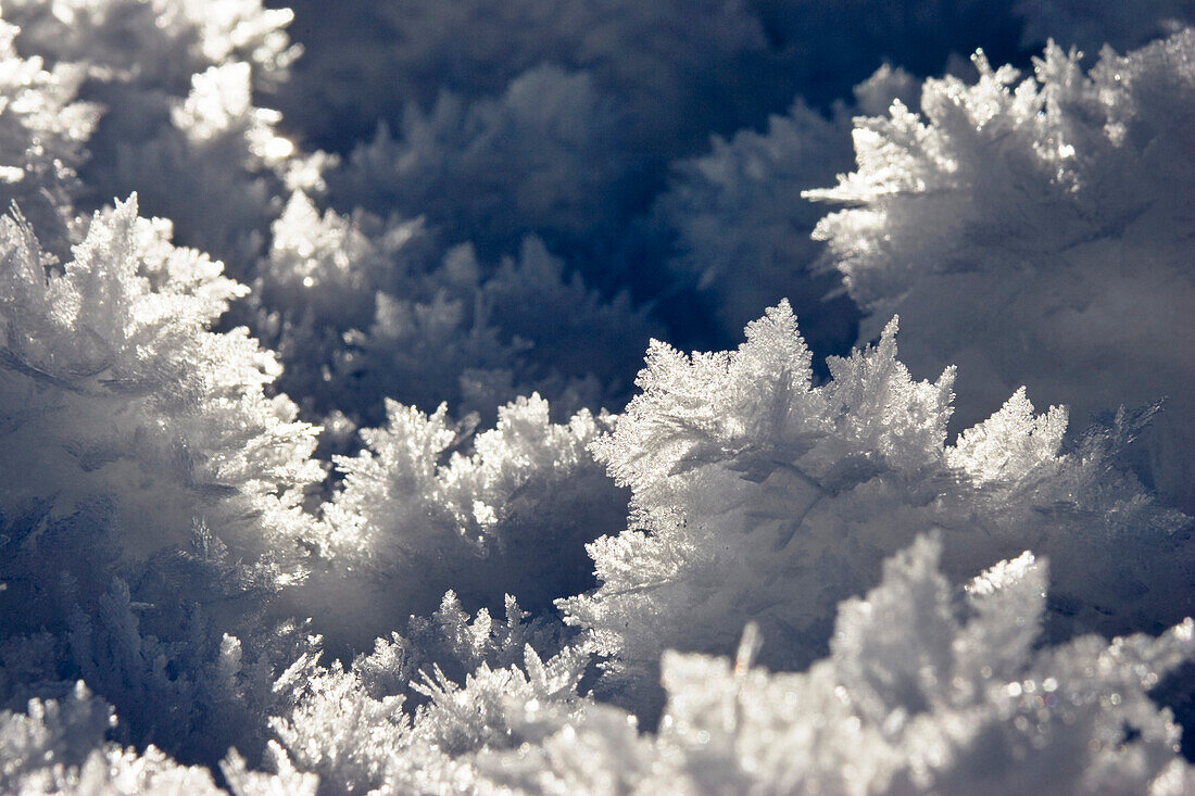 Schneekristalle, Sonne, Bayern, Deutschland