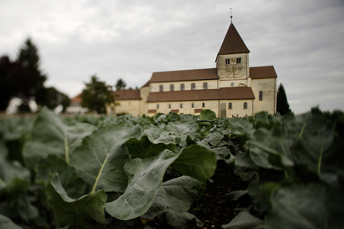 St.Georg Kirche, Oberzell, Insel Reichenau, Baden-Württemberg, Deutschland