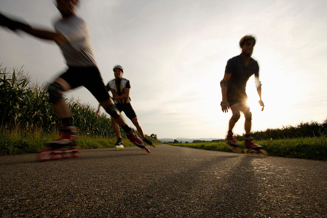 Gruppe Inlineskater im Gegenlicht, Weinfelden, Kanton Thurgau, Schweiz