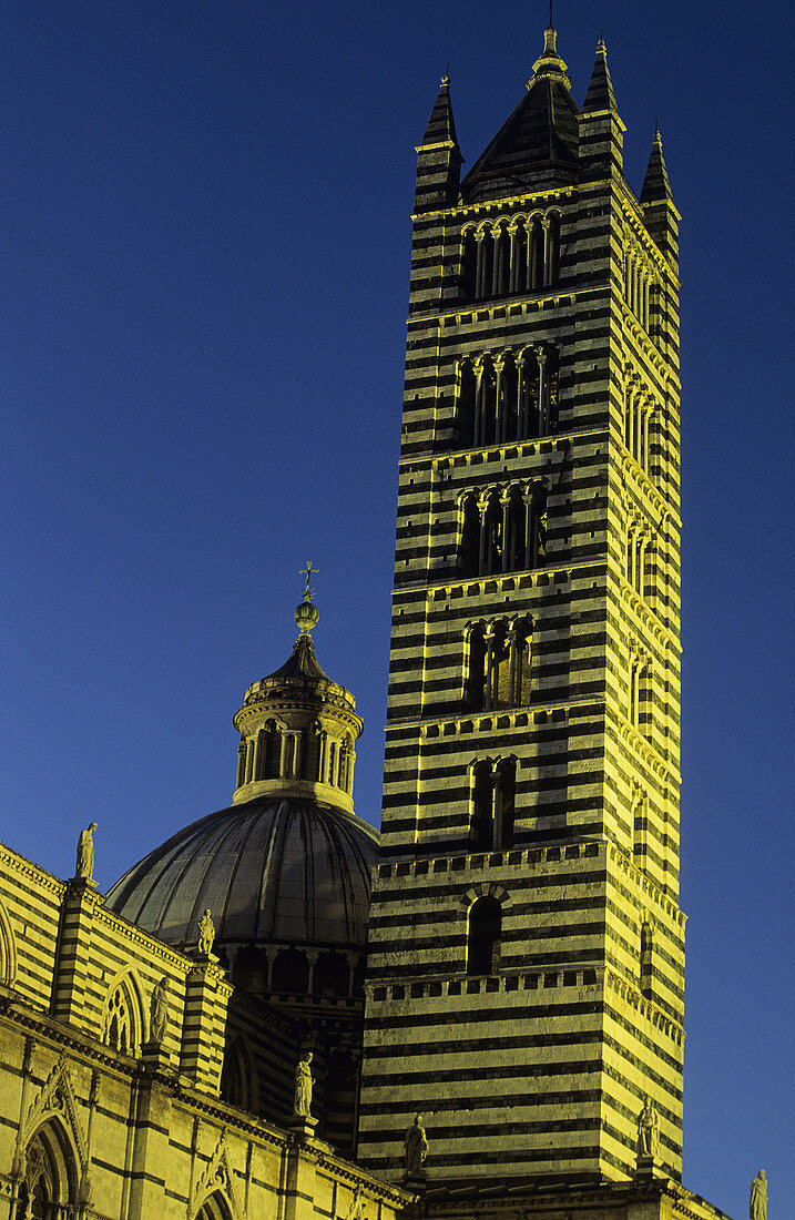 Cathedral, Siena. Tuscany, Italy