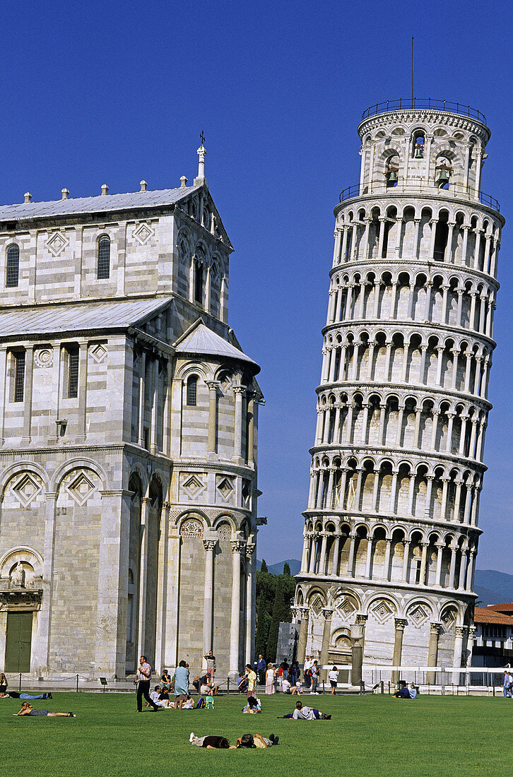 Leaning tower, Pisa. Tuscany, Italy