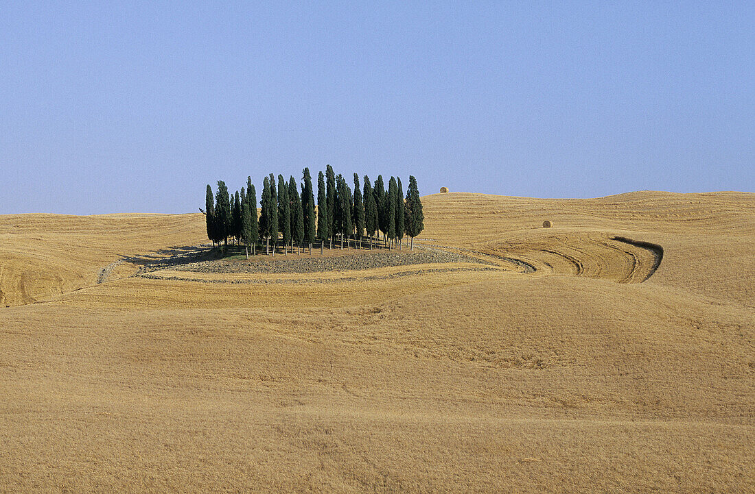 Tuscan landscape near San Quirico d Orcia. Italy