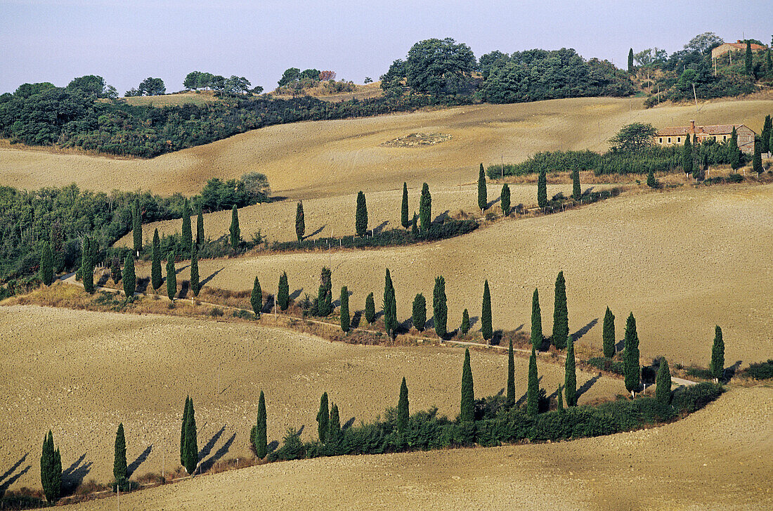 Tuscan landscape. Italy