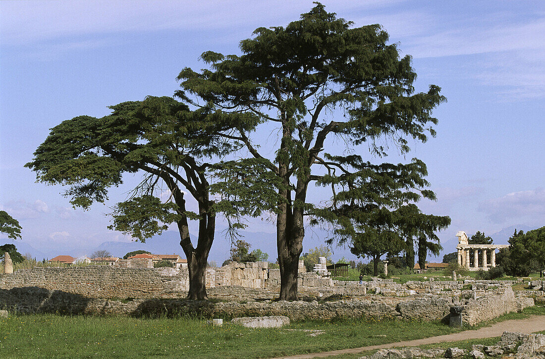 Temple of Athena (aka Temple of Ceres), Paestum. Campania, Italy