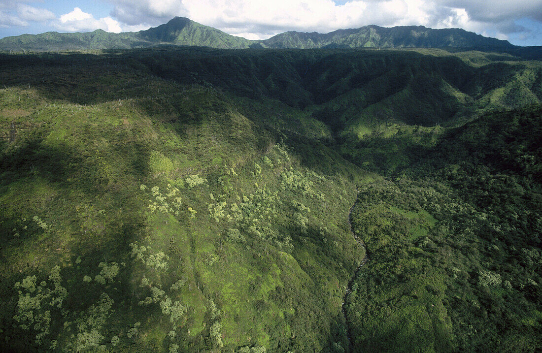 Kauai island. Hawai