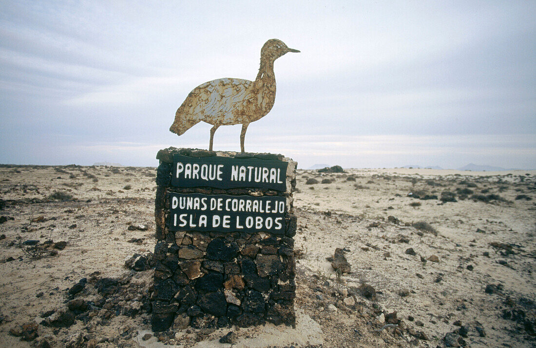 Isla de Lobos, Dunas de Corralejo Natural Reserve. Canary Islands. Spain