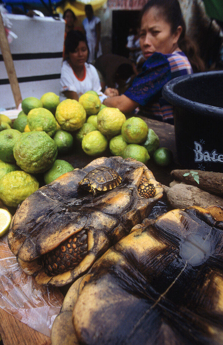 Turtles and fruits. Iquitos Market. Amazonia. Peru