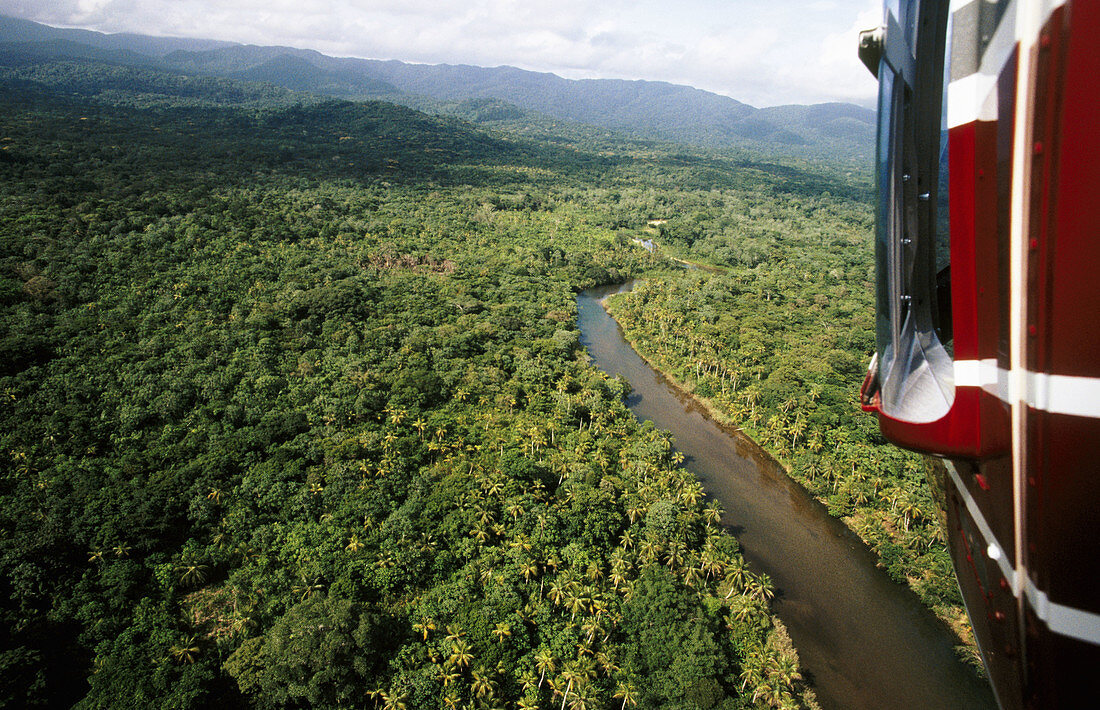 Rainforest at Kuna Yala. View from a helicopter. San Blas region. Caribbean. Panama