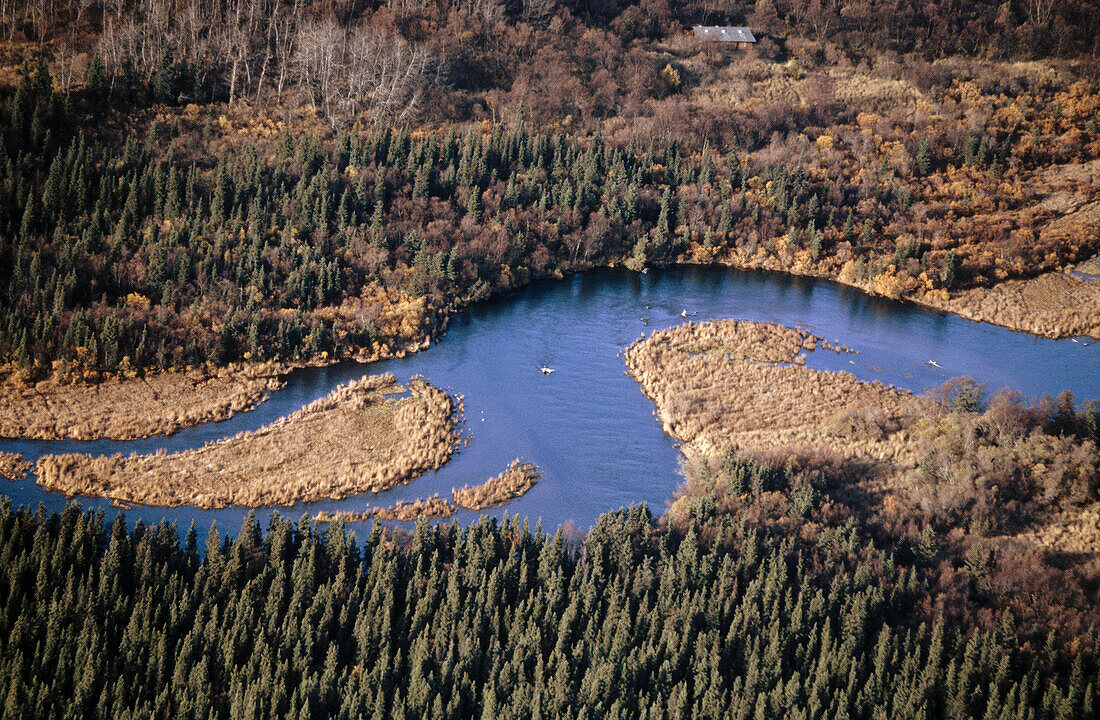 Brooks River. Katmai National Park. Alaska. USA