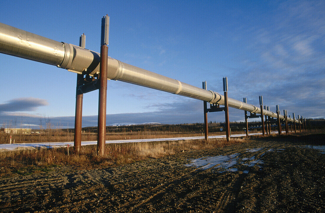 Oil pipeline. Taylor highway. North of Alaska. USA