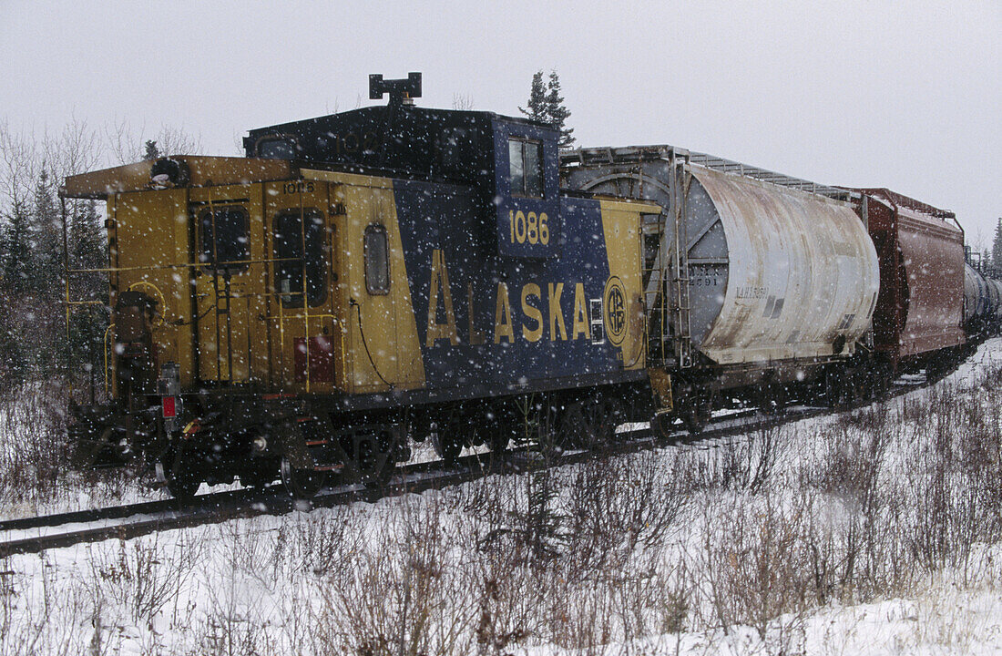 Train to Denali National Park. Alaska. USA