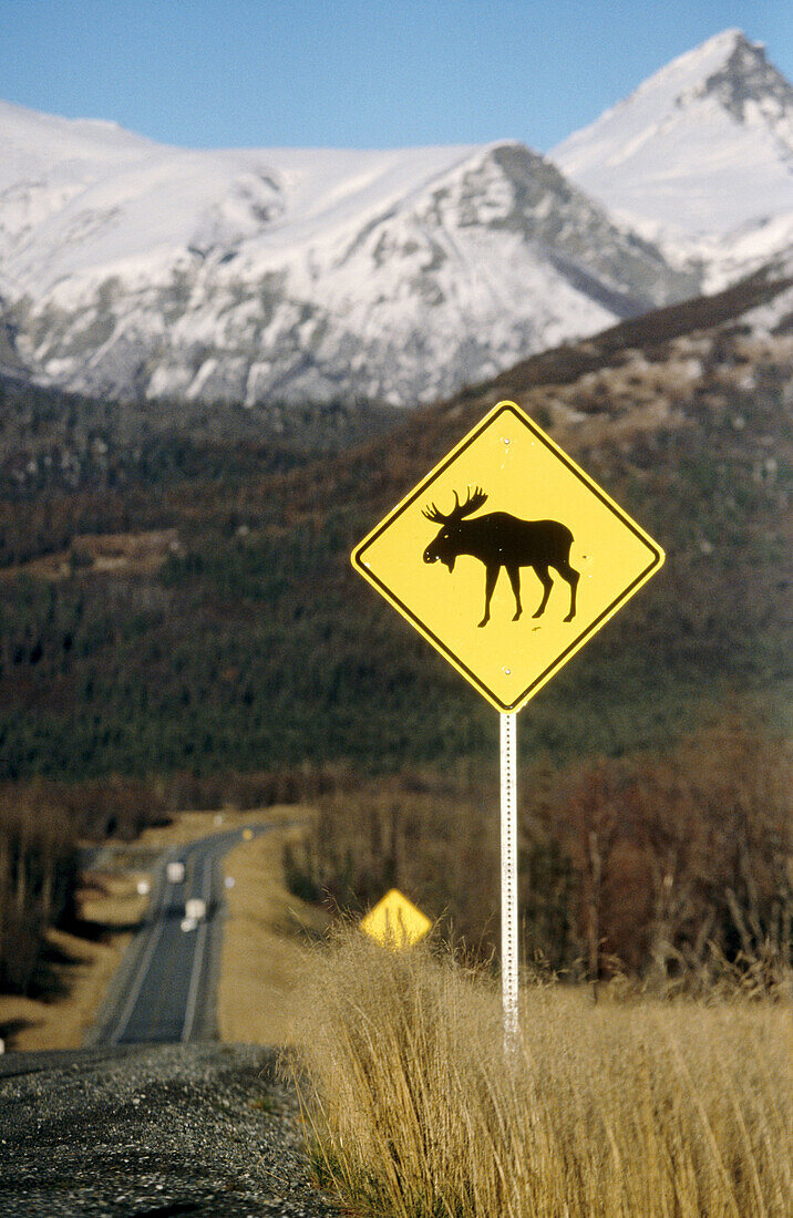 Moose crossing sign. Taylor highway. North of Alaska. USA