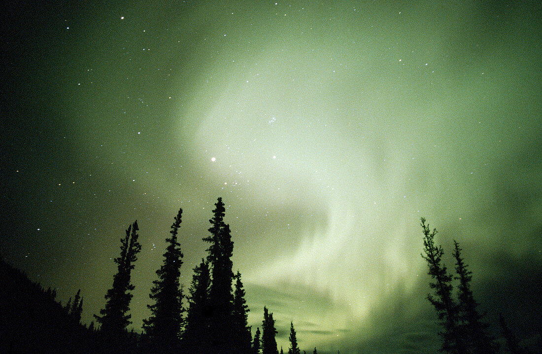 Aurora Borealis or Nothern Lights. Brooks range. Alaska. USA