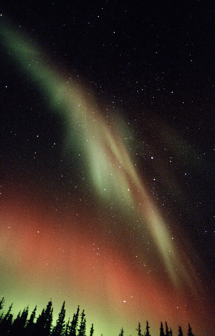 Nothern lights or Aurora borealis. Alaska. USA