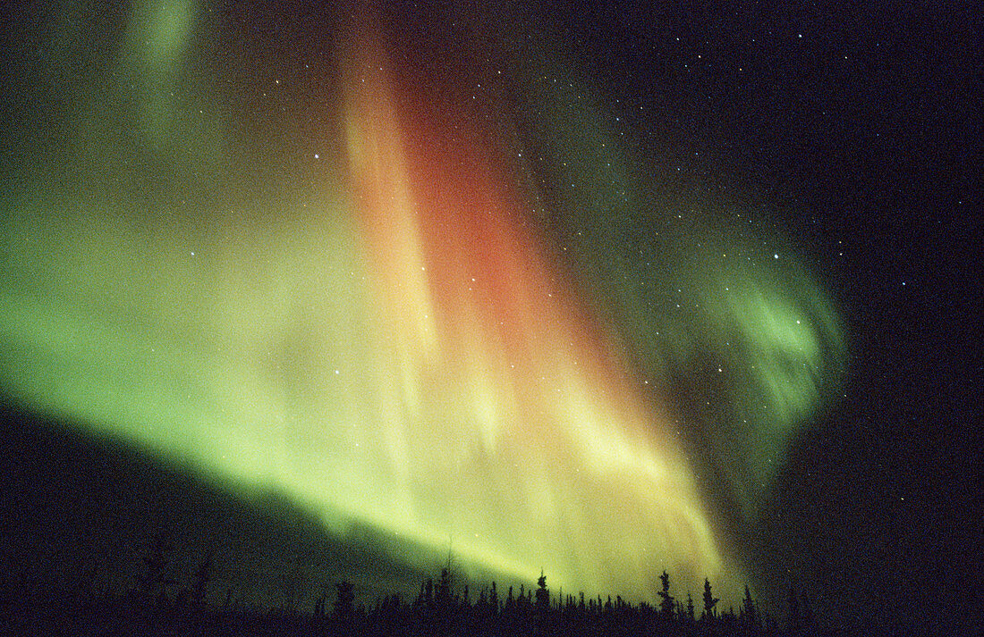 Aurora Borealis or Nothern Lights. Brooks range. Alaska. USA