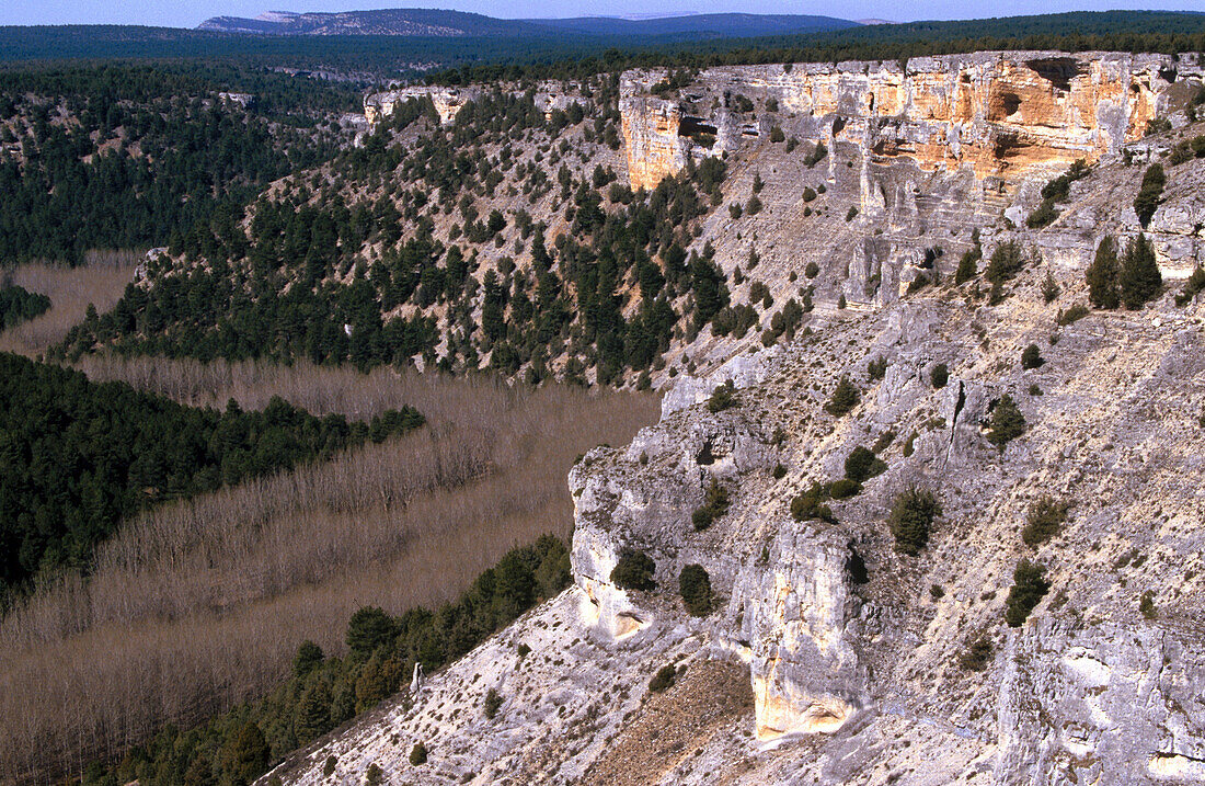 Cañón del Río Lobos Natural Park, Soria province. Spain