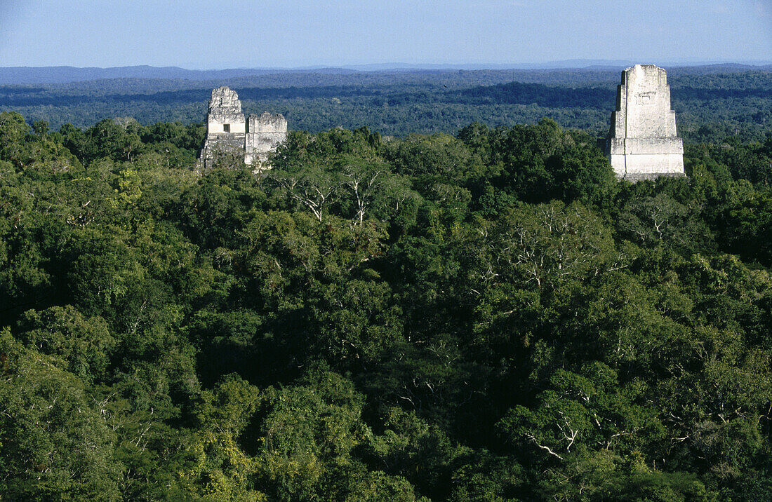 Tikal Maya ruins. Yucatan. Guatemala