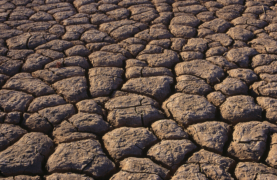 Desecated earth. Namib desert. Namibia