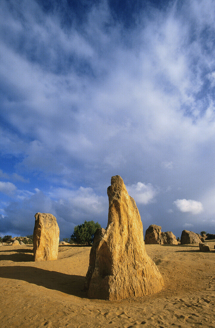 Pinnacles. Nambung National Park. Western Australia