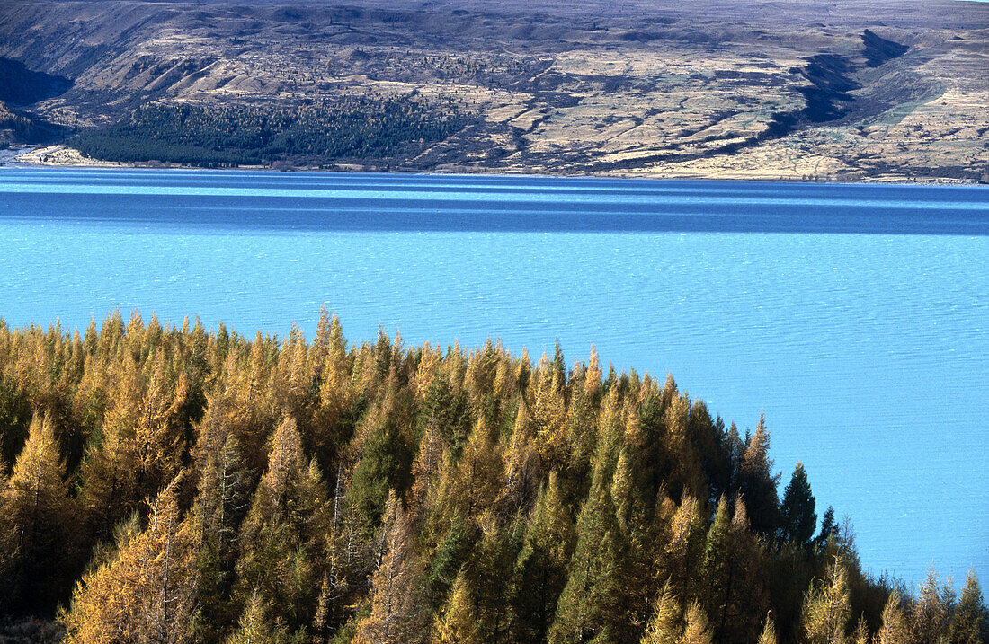 Lake Pukaki. Mount Cook National Park. South Island. New Zealand