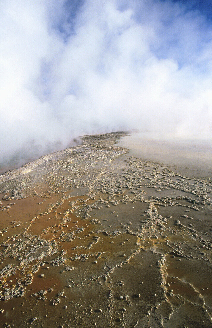 Volcanic geyser at Waiotapu thermal area. North Island. New Zealand