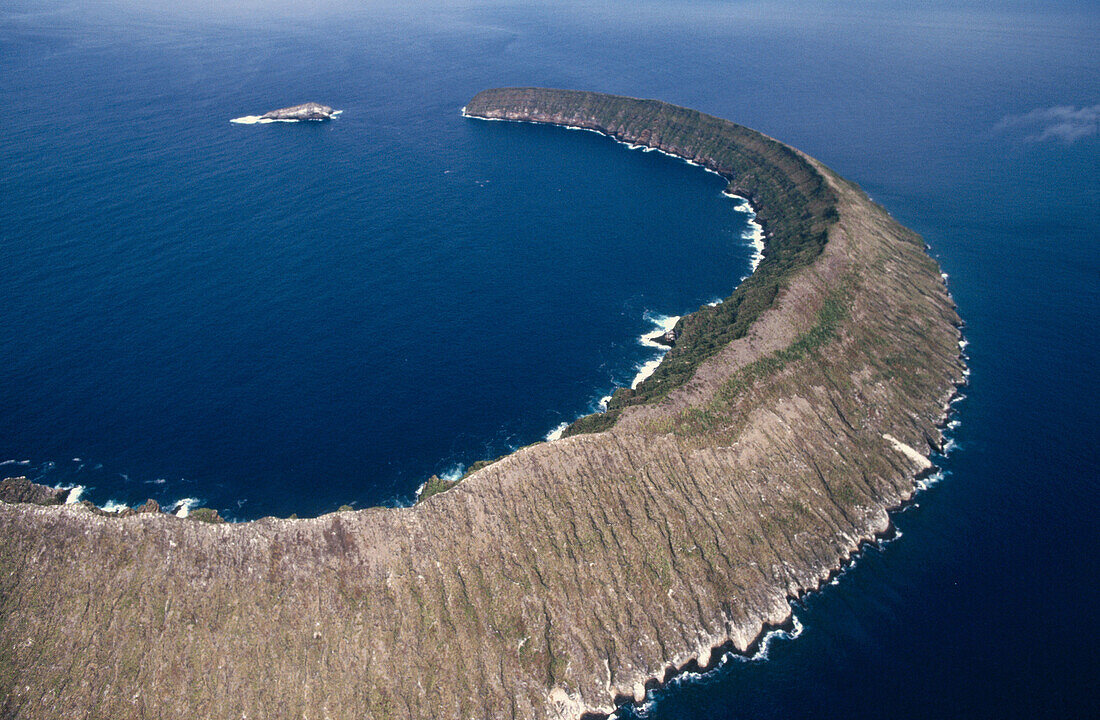 Isabela Island, Galapagos Islands. Ecuador