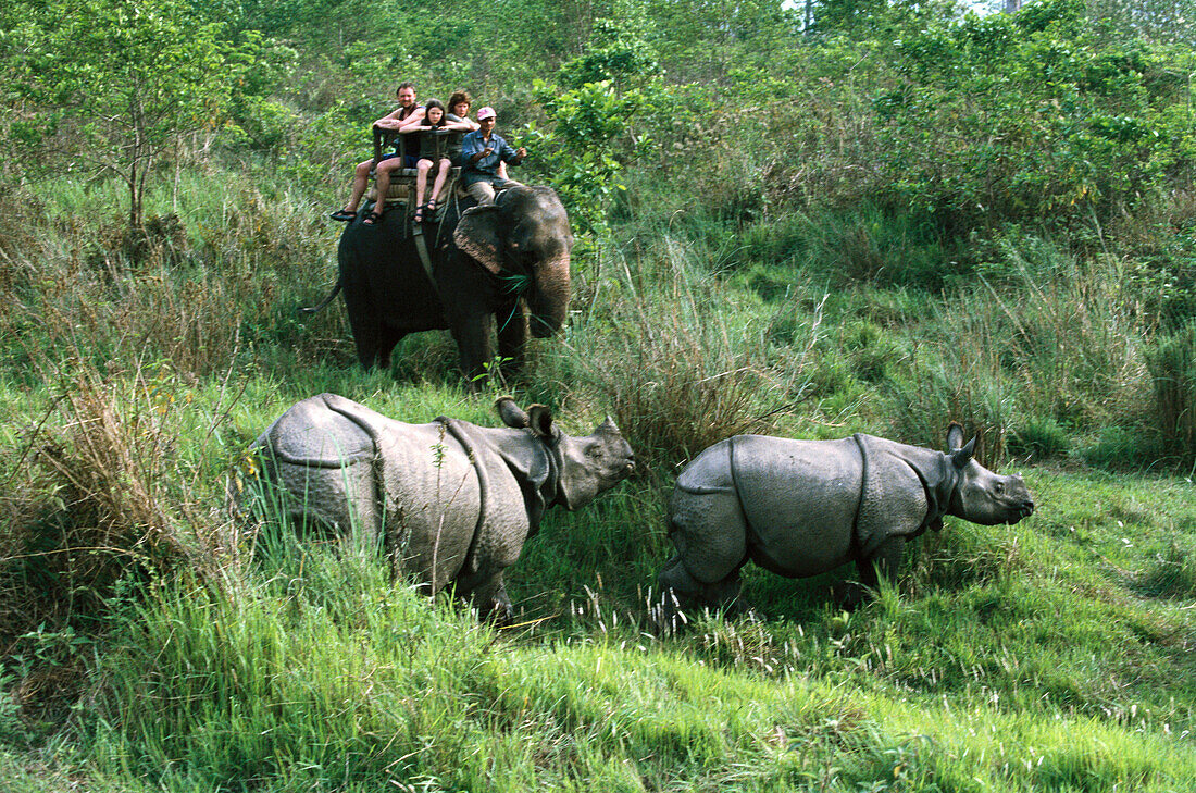 Royal Chitwan National Park, Nepal
