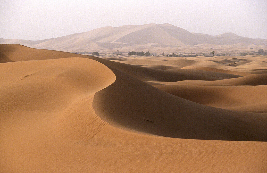 Sahara desert, Morocco