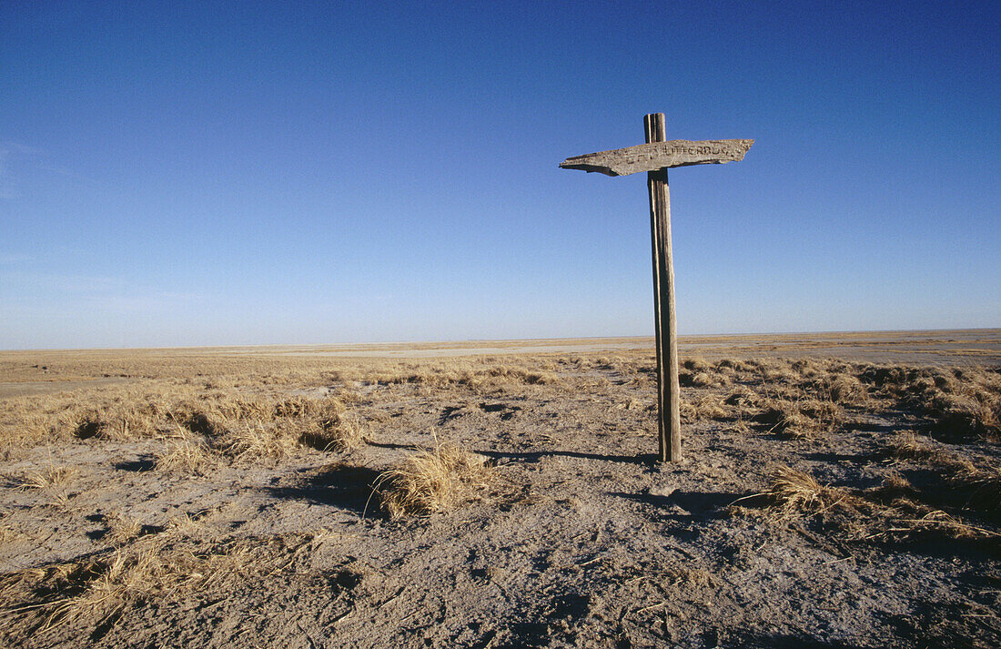 Makgadikgadi Pans. Botswana.