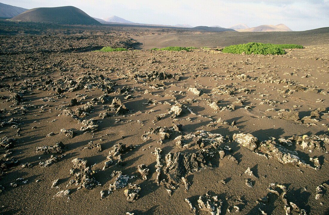 Timanfaya Natural Park. Lanzarote. Canary Islands. Spain.